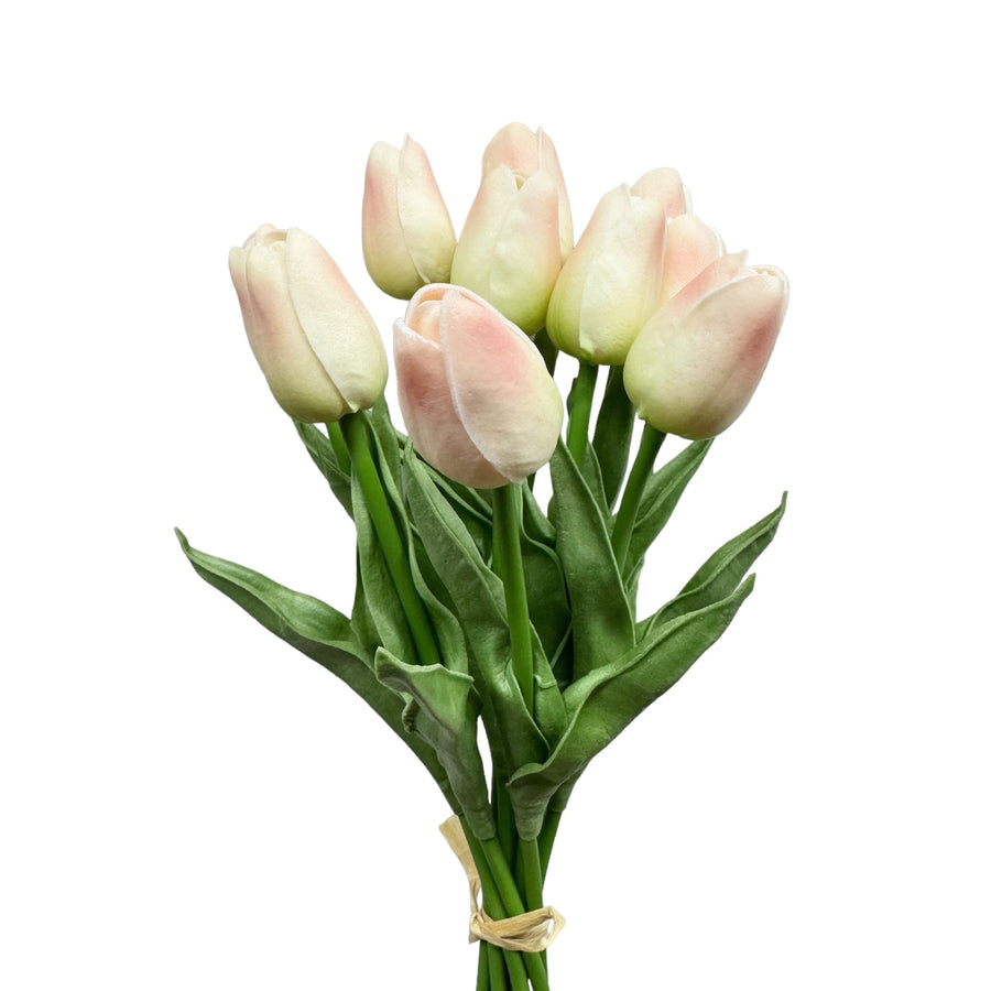 Forever Tulips in Blush
