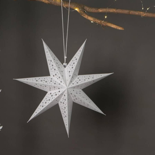 The Paper Star