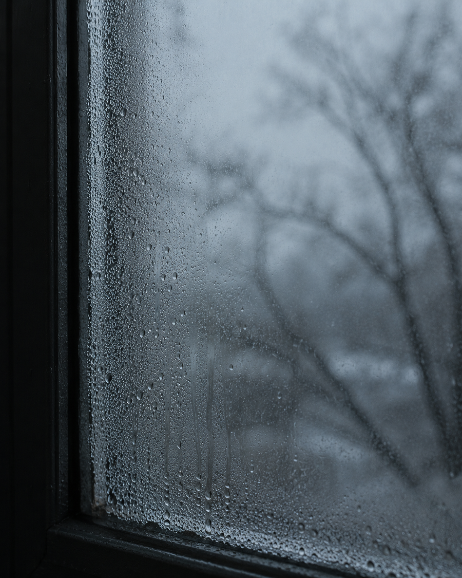 Window, behind you