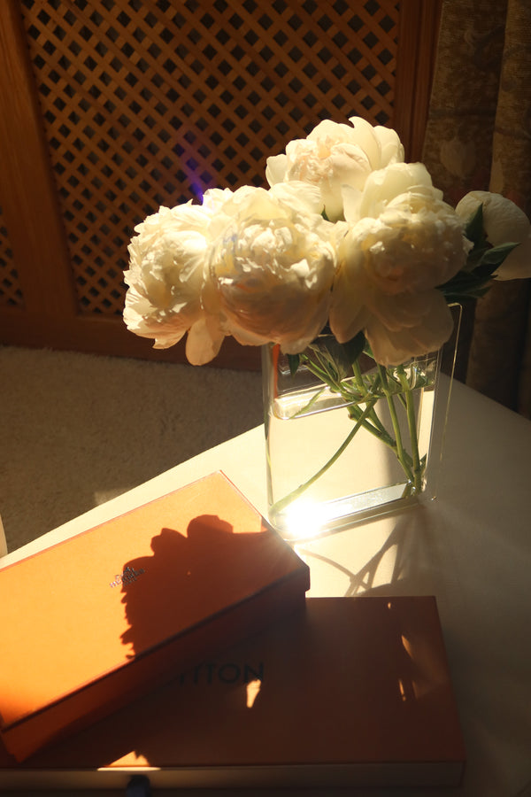 LIGHT ELEGANCE
